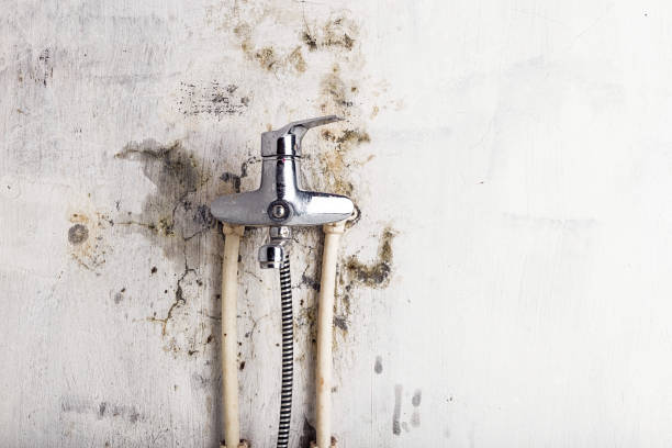 Best Post-Remediation Services in North Zanesville, OH