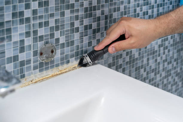 Trusted North Zanesville, OH Mold Remediation Experts